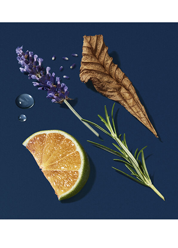 Giorgio Armani Acqua di Gio Profondo EDP 150 ml Refill - 2