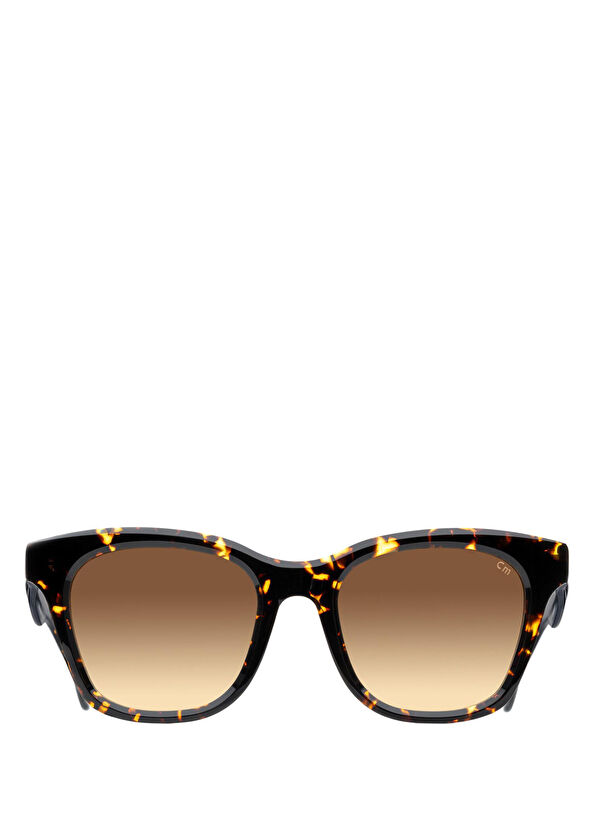 CharlieMax Milano Giambe Acetate Brown Sunglasses - 1