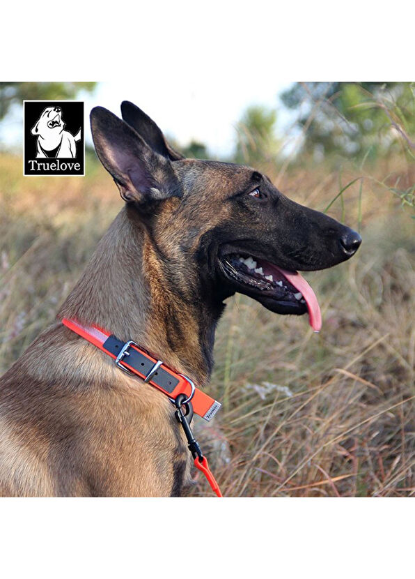 True Love DuraPup Siyah Köpek Boyun Tasması - 2