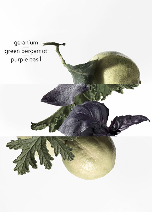 Hermès Eau De Basilic Pourpre Edc 100 ml - 4