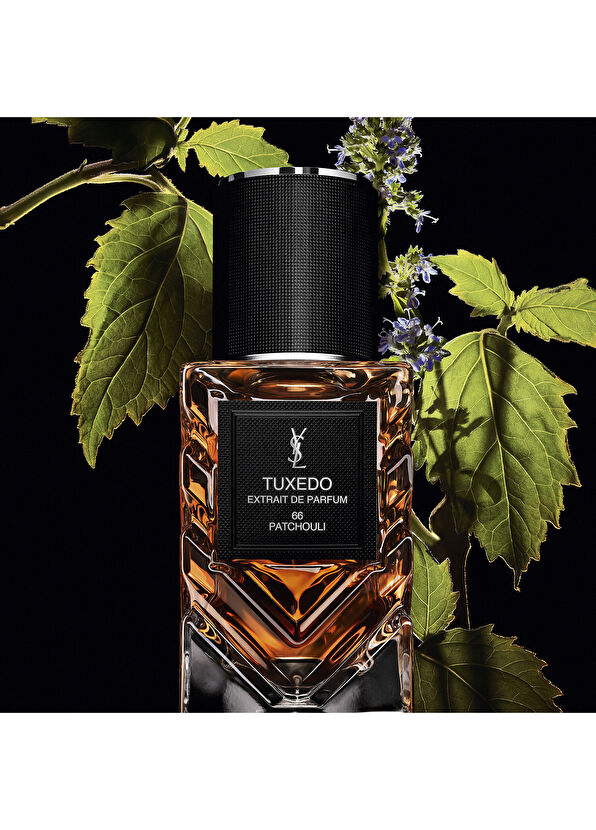 Yves Saint Laurent Le Vestıaıre Des Parfums Radıcal - Tuxedo 50Ml - 4