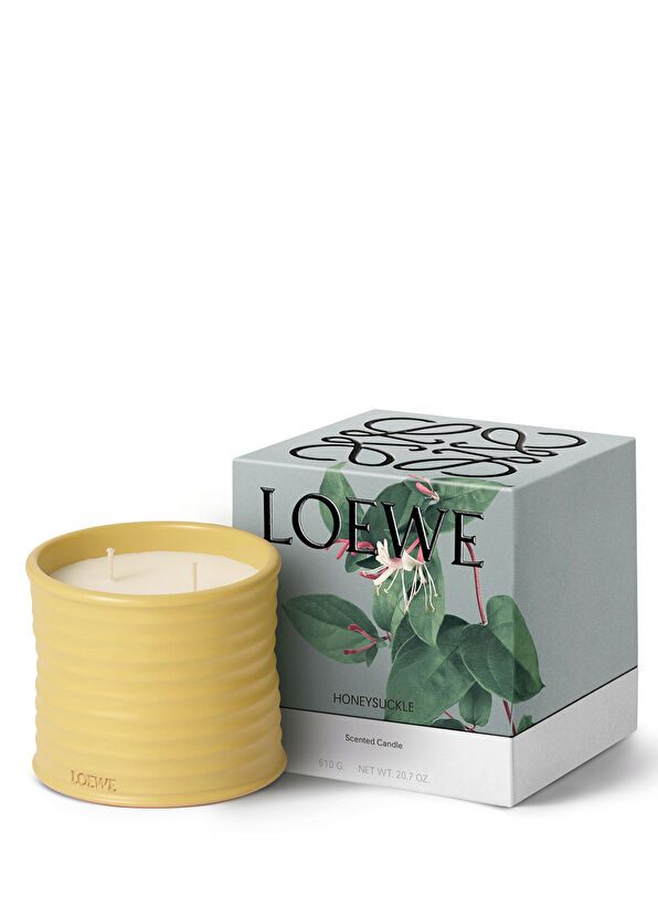 Loewe Honeysuckle Medium 610 gr Mum - 2