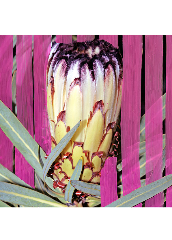 BYREDO Inflorescence EDP 100 ml Kadın Parfüm - 4