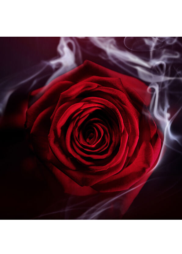 Bvlgari Le Gemme Garanat EDP 125 ml - 2