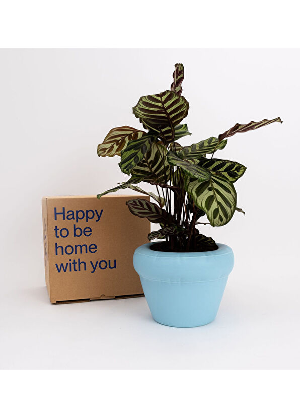 Home Studyo Pierre Sky Matte Açık Mavi Seramik Saksı - 3