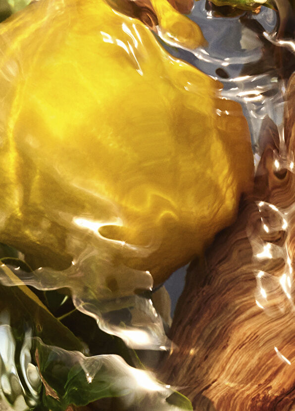 Guerlain Aqua Allegroria Woody Oud Yuzu - 3