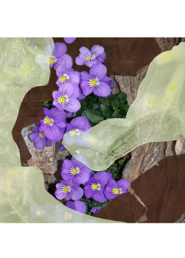 BYREDO 1996 EDP 50 ml Unisex Parfüm - 4