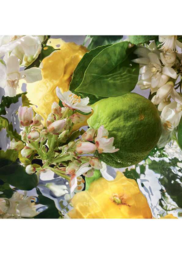 Guerlain Aqua Allegoria Bergamote Calabria EDT 75ml Perfume - 3