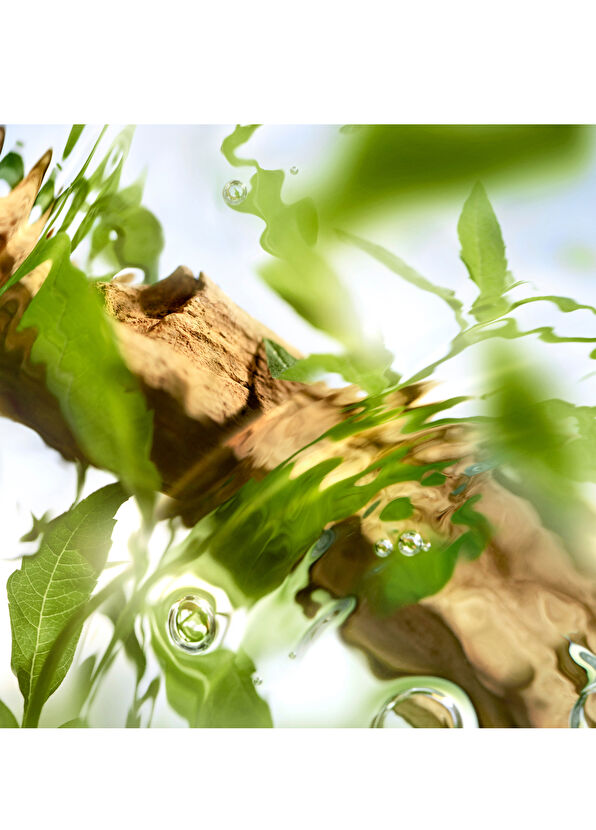 Lancome Les Ô Off Now EDT 100 ml Kadın Parfüm - 2