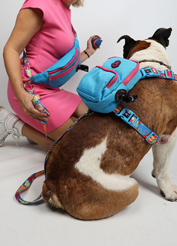 PAWLOOK Handsfree Mavi Çantalı Köpek Gezdirme Kayışı - 2