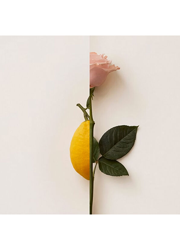 New Notes Rosa Lımone Extraıt De Perfume - 2