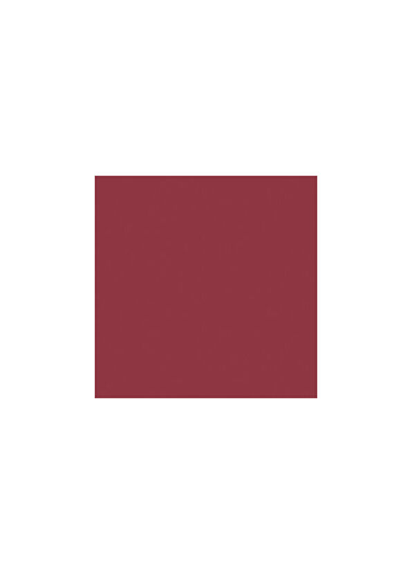 Yves Saint Laurent Loveshine RVS 206 Ruj - 2