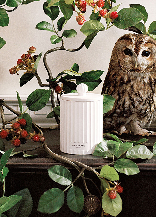 Jo Malone London Fresh Fig & Cassis Townhouse Mum 300g - 4