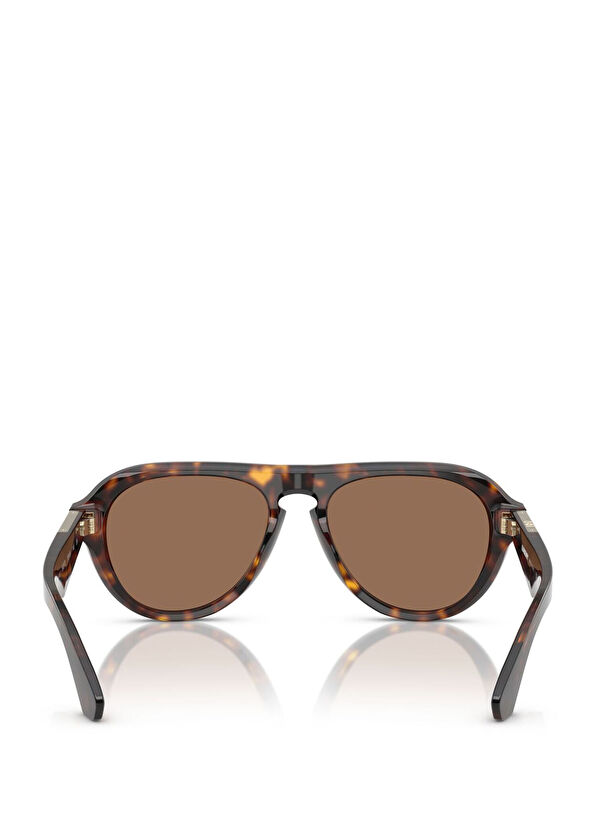 BE4437U Kahverengi Erkek Güneş Gözlüğü - Görsel 5