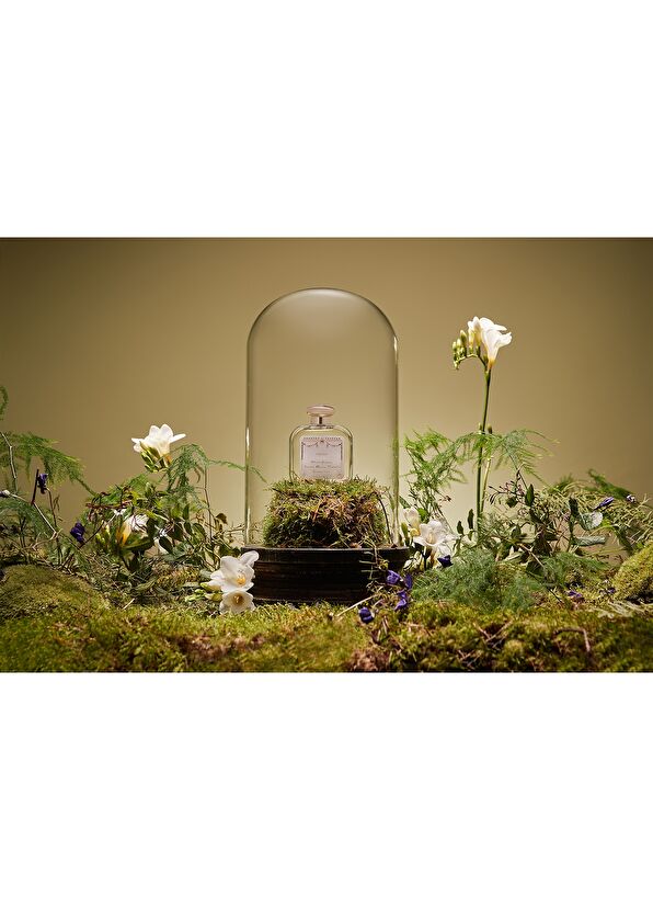 Santa Maria Novella Fresia Firenze 1221 100 ml - 3