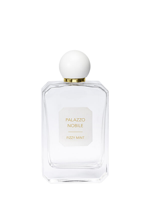 Valmont Fızzy Mınt 100 ml - 1