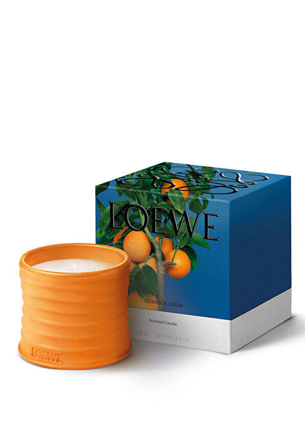 Loewe Orange Small Mum - 2