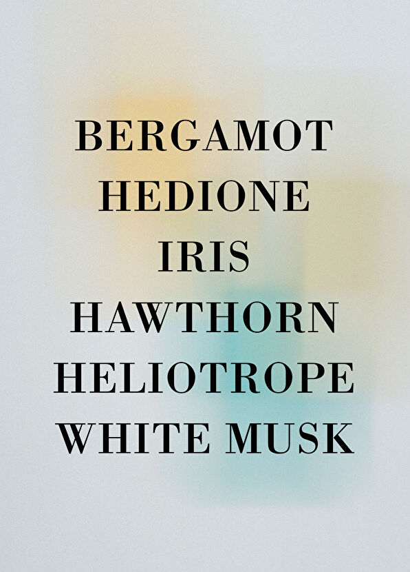 Editions de Parfums Frédéric Malle L'Eau D'Hıver 100 ml - 3