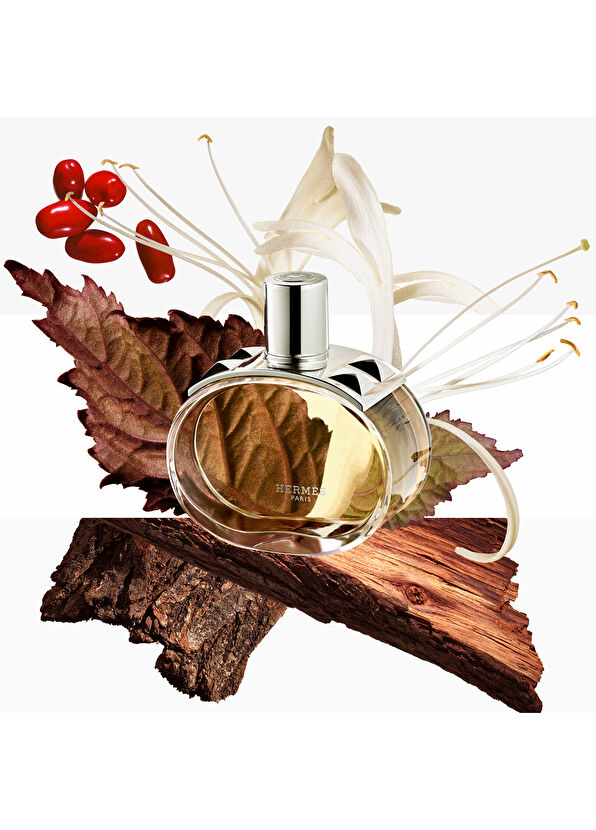 Hermès Barénia, Vücut için parfümlü krem - 4