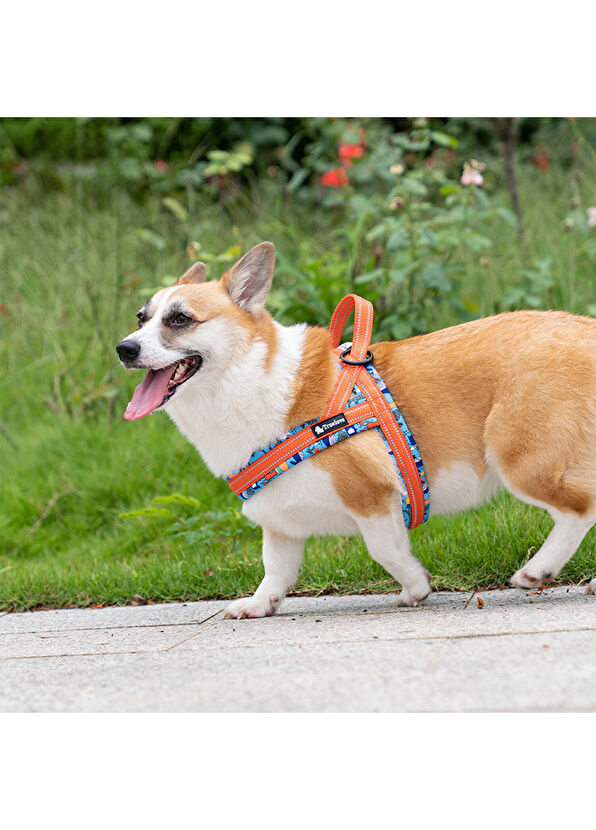 True Love Marine Turuncu Köpek Göğüs Tasması - 3