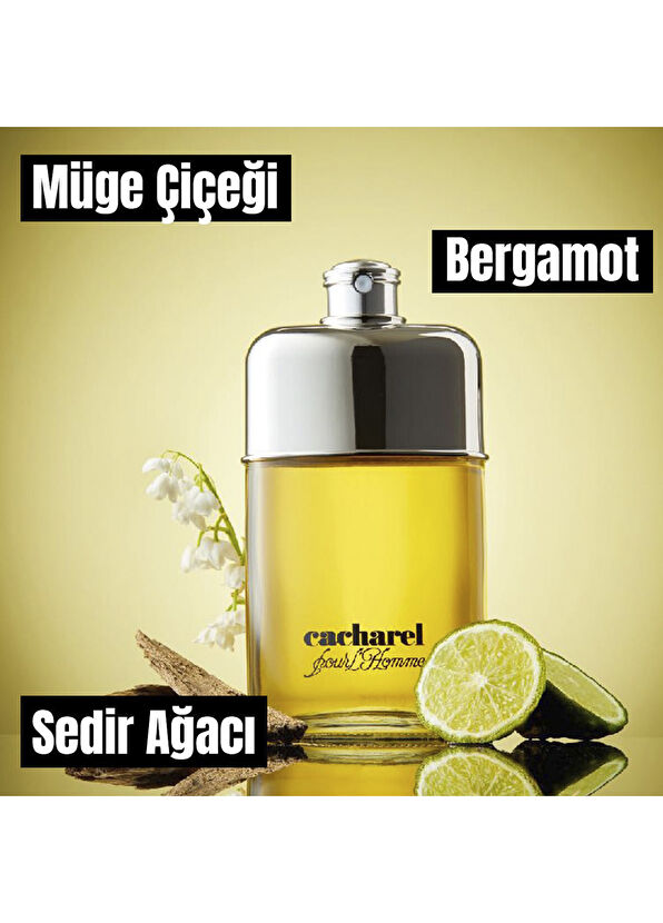 Cacharel Pour Homme EDT 100 ml Erkek Parfüm - 3