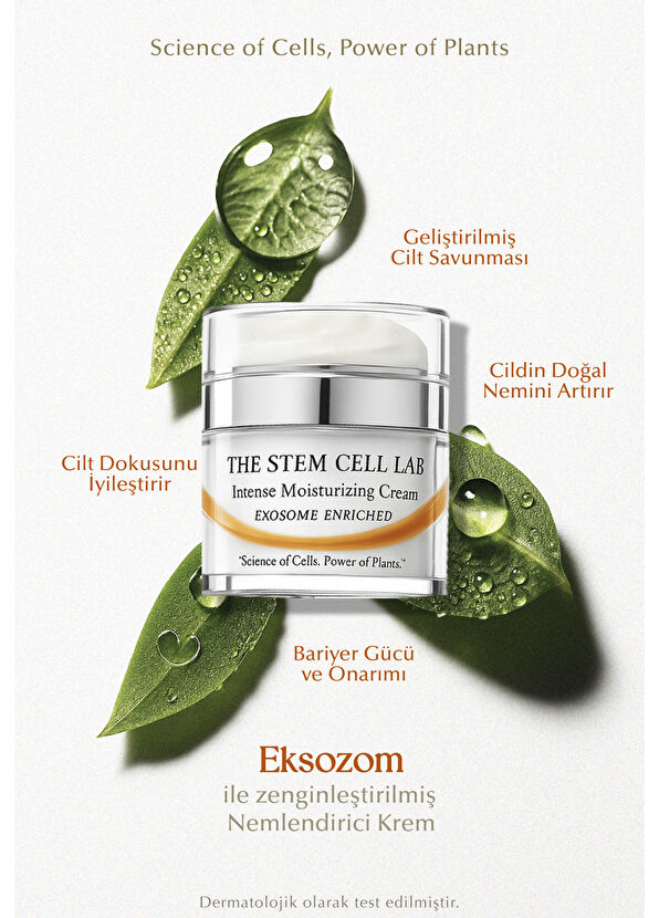 The Stem Cell Lab 101 Intense Moisturizing Nemlendirici Yüz Kremi 50 ml - 2