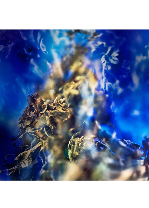 Bvlgari Le Gemme Gyan Edp 125 Ml Unisex Perfume - 2