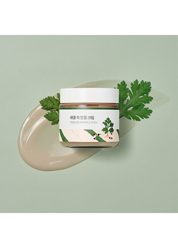 Round Lab Mugwort Calming Cream Nem Ve Hidrasyon Yükselten Kızarıklık Karşıtı Mugwortlu Yüz Kremi 80 ml - 2
