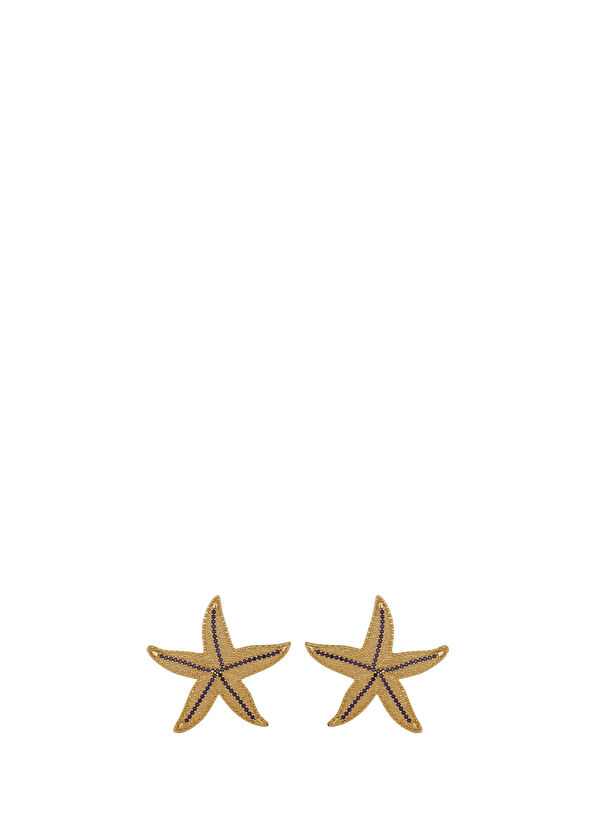 Aden Newyork Stella Gold Colored Earrings - 2