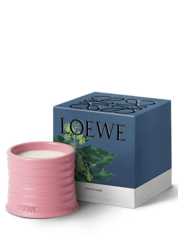Loewe Ivy 170 gr Mum - 2