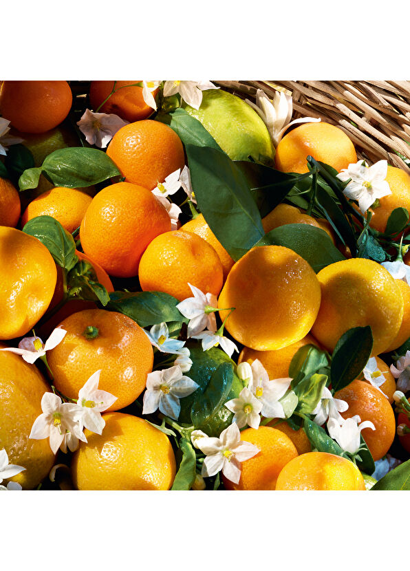 Guerlain Aqua Mandarine Basilic Harvest EDT 125 ml Parfüm - 3