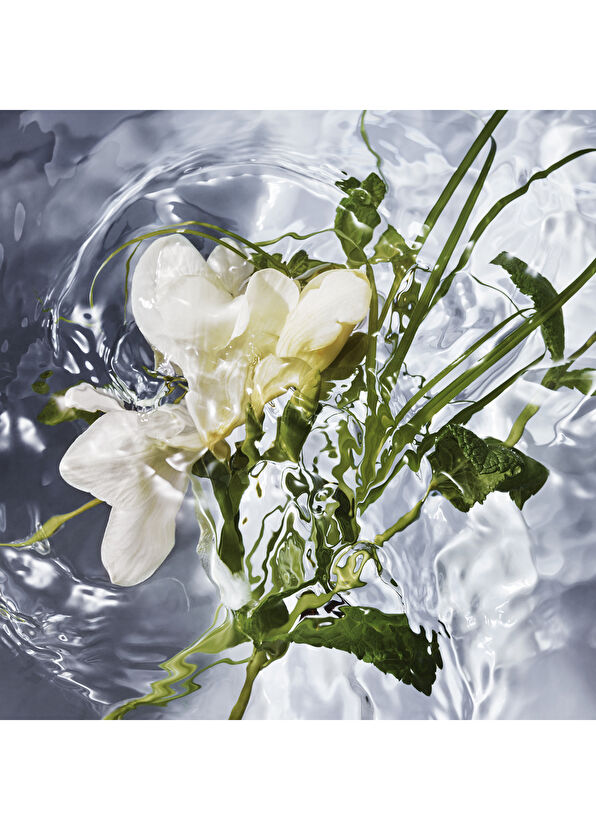 Guerlain Aqua Allegoria Herba Fresca EDT 75ml Unisex Parfüm - 2