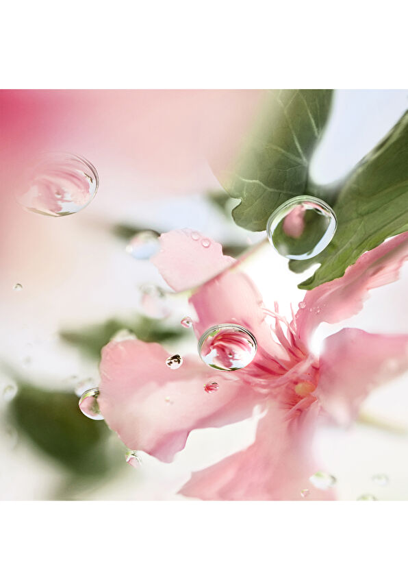 Lancome Les Ô Over the Top EDT 100 ml Kadın Parfüm - 2