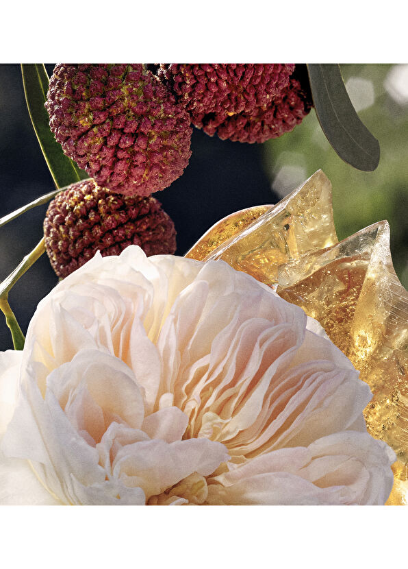 Chloe Signature EDP 50 ml Kadın Parfüm - 4