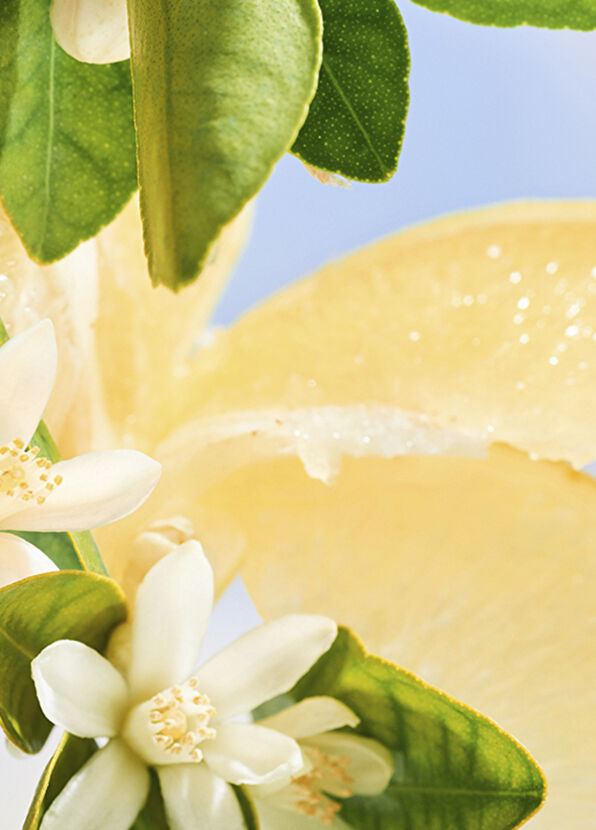 Bvlgari Allegra Riva Solare Liquid Soap 250 ml - 2