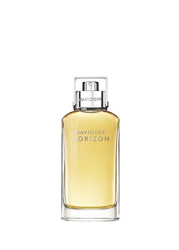 Davidoff Horizon EDT 75 ml Erkek Parfüm - 1