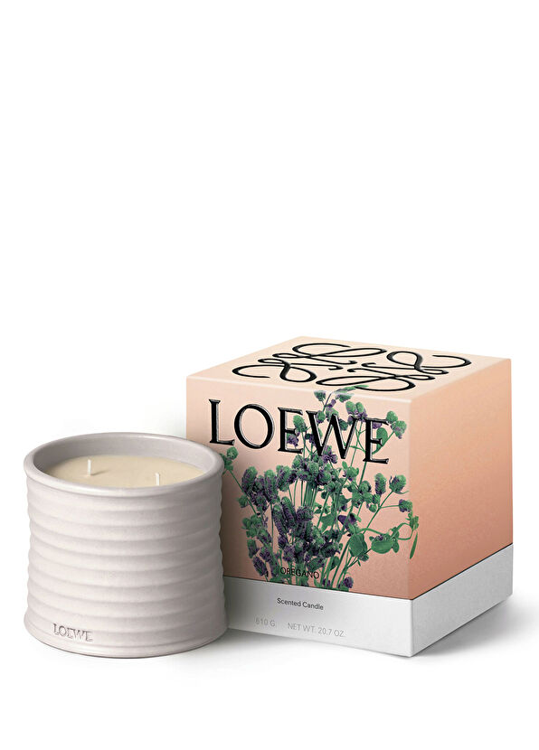 Loewe Oregon Medium 610 gr Candle - 2
