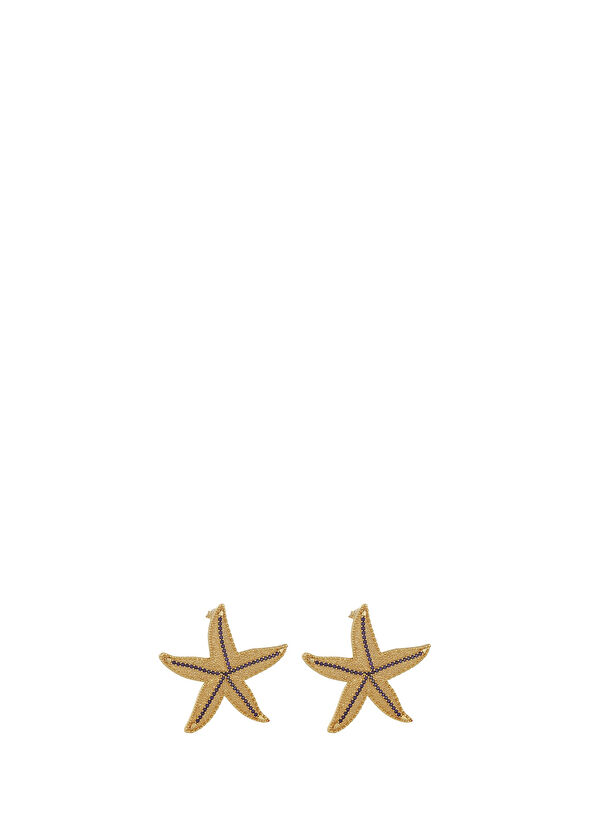 Aden Newyork Stella Gold Colored Earrings - 1