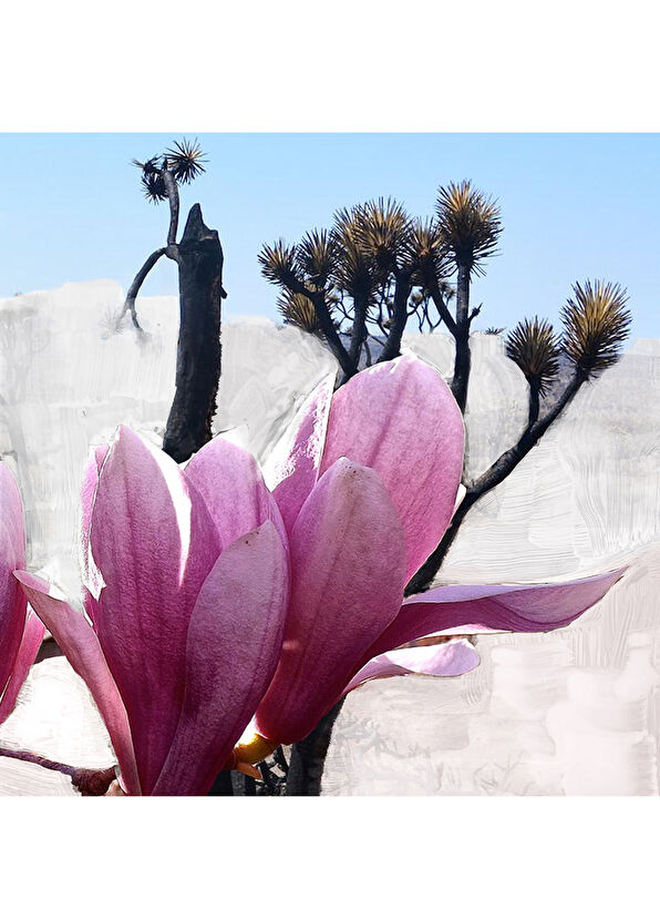 BYREDO Mojave Ghost EDP 100 ml Unisex Parfüm - 4