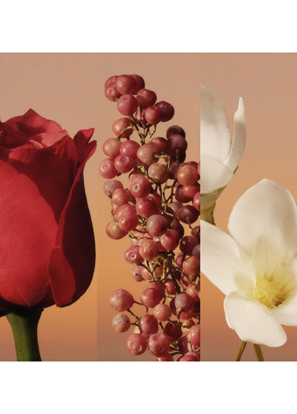 Calvin Klein Eternity Intense Woman EDP 50 ml Kadın Parfüm - 3