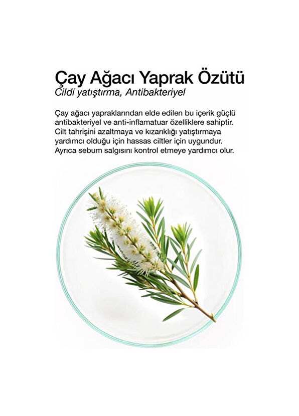Dermal Tea Tree Çay Ağacı Kuru ve Yorgun Ciltler İçin Nemlendirici ve Canlandırıcı Kore Maskesi 23 gr 3 Adet - 2