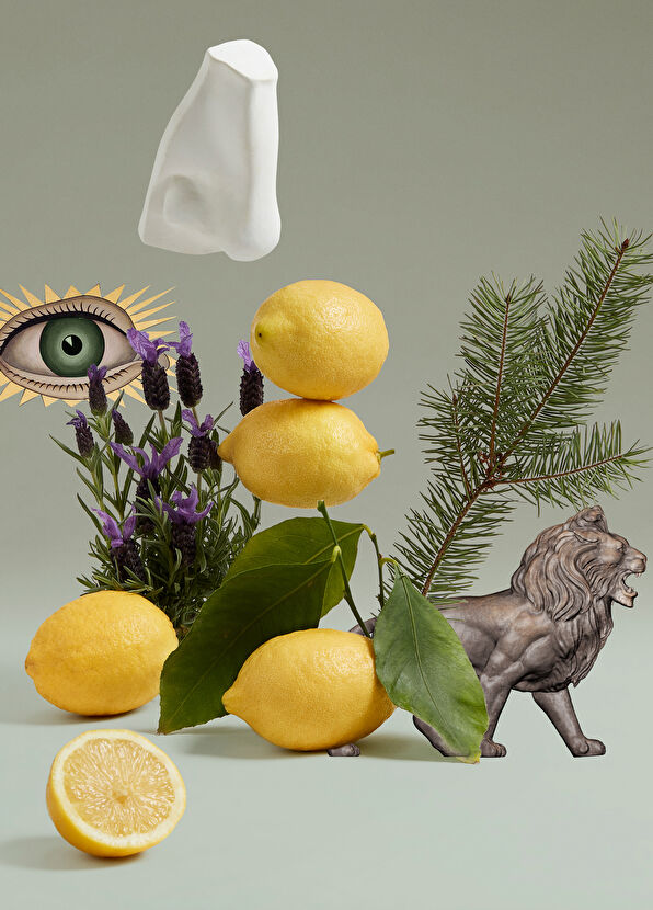 Penhaligon's Blenheim Bouquet EDT 30 ml Perfume - 4