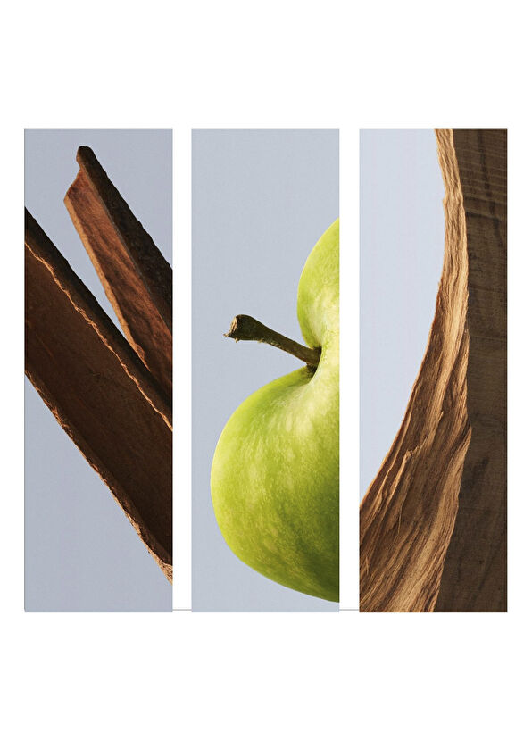 Hugo Boss Bottled Erkek Deostick 75 gr - 3