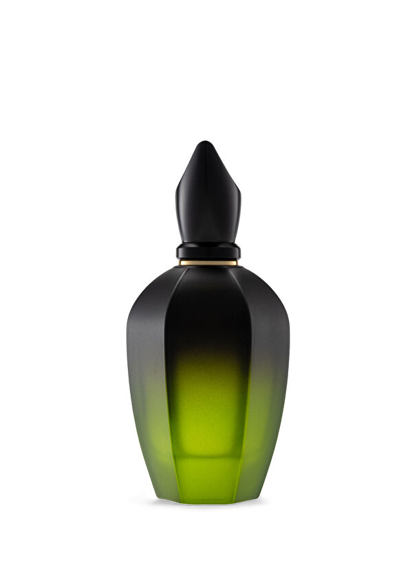 Xerjoff Lamborghini Blends Perseveranza 100 ml - 2