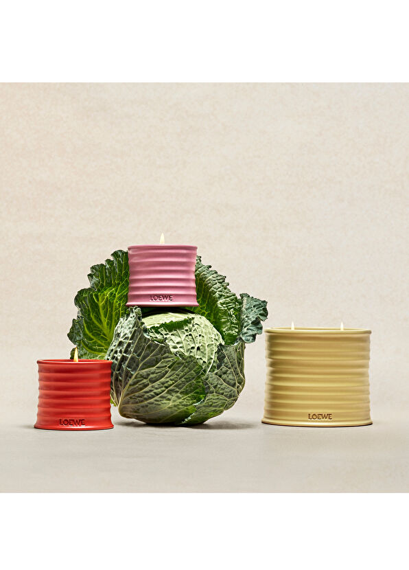 Loewe Ivy Medium 610 gr Mum - 4