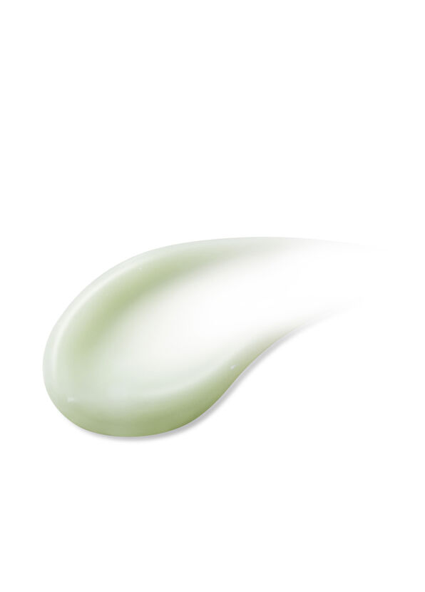 KAINE Green Calm Aqua Cream Yeşil Çay ve Mugwortlu Bariyer Destekleyici Yüz Kremi 70 gr - 2