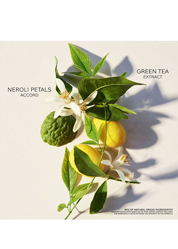 Bvlgari Thé Vert EDT 75 ml Unisex Parfüm - 4