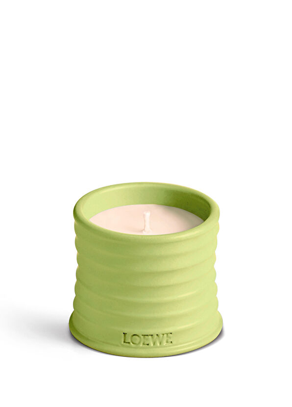 Loewe Cucumber 170 gr Mum - 1