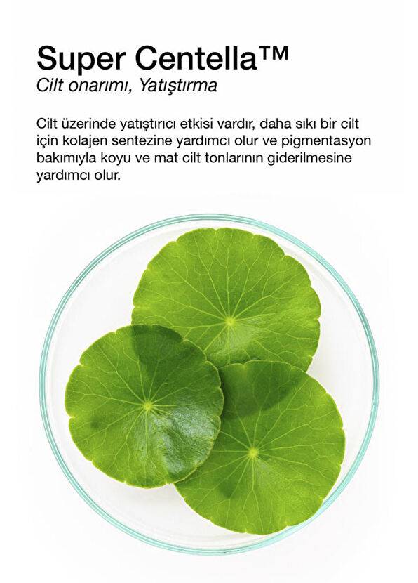 Dermal Madecassoside Mask Kuru ve Yorgun Ciltler İçin Nemlendirici ve Canlandırıcı Madecassoside Kore Maskesi 23 gr - 2