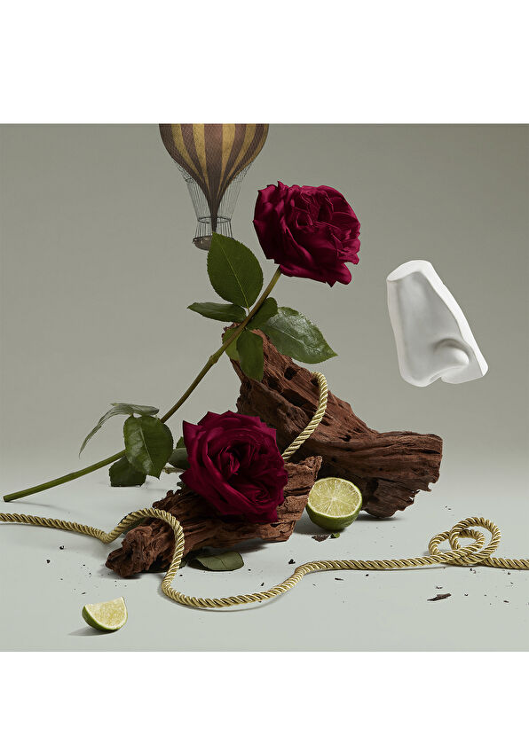 Penhaligon's Halfeti El & Vücut Losyonu 500 ML - 2